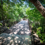 Scenic memorial garden at Remembrance Gardens in Austin, Texas