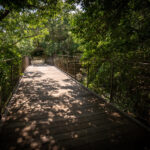Peaceful outdoor memorial space at Remembrance Gardens