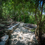 Natural beauty of Remembrance Gardens in Austin, Texas