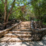 Stone pathway through Remembrance Gardens in Austin, Texas