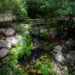 Natural beauty of Remembrance Gardens in Austin, Texas