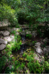 Natural beauty of Remembrance Gardens in Austin, Texas