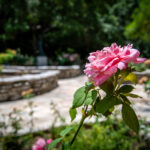 Peaceful memorial landscape at Remembrance Gardens in Austin, TX