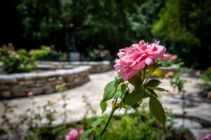 Peaceful memorial landscape at Remembrance Gardens in Austin, TX