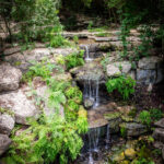 Natural beauty of Remembrance Gardens in Austin, Texas