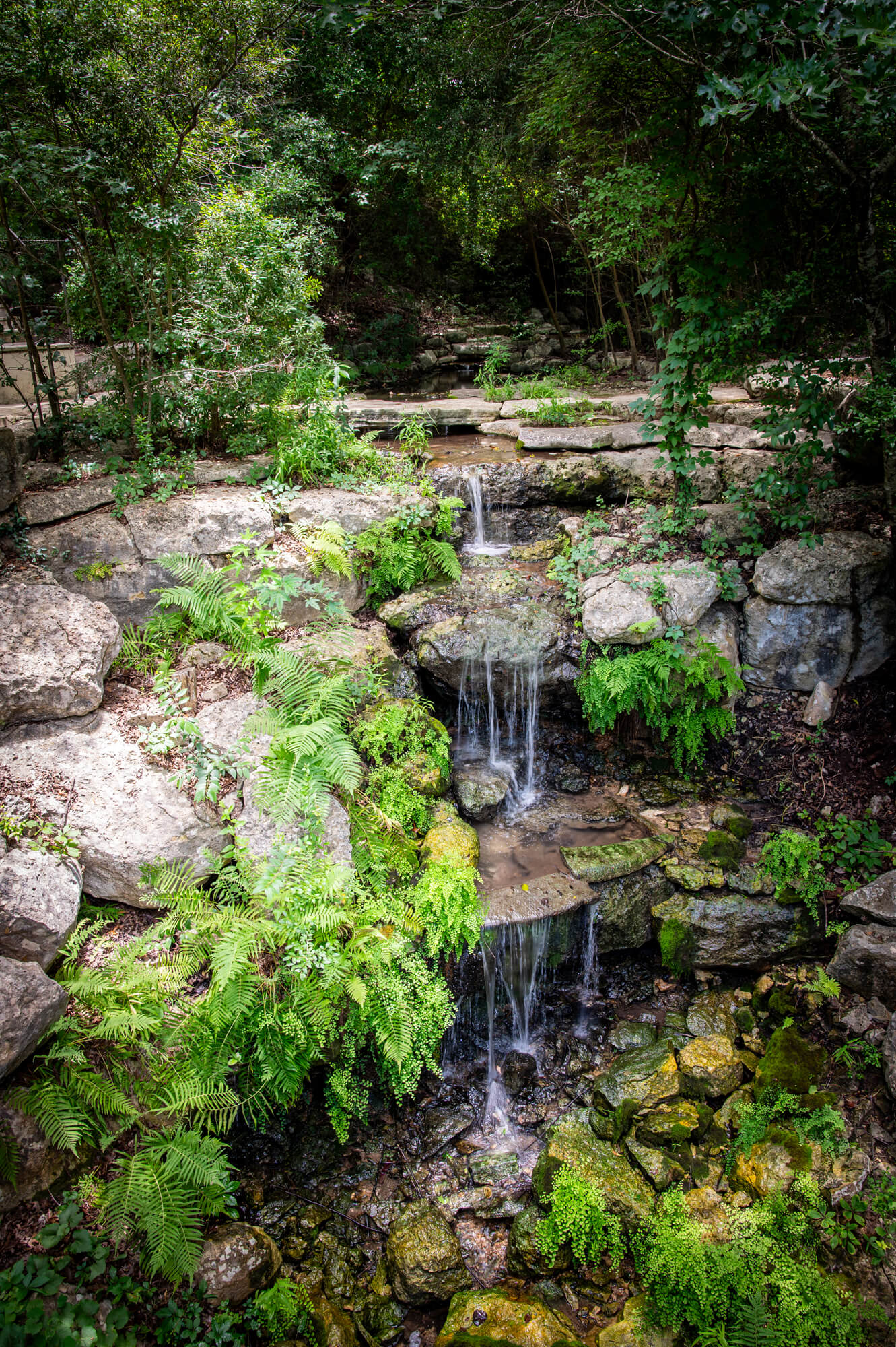 Natural beauty of Remembrance Gardens in Austin, Texas