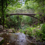 Scenic memorial garden at Remembrance Gardens in Austin, Texas