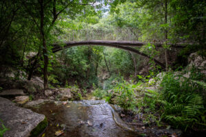 Scenic memorial garden at Remembrance Gardens in Austin, Texas