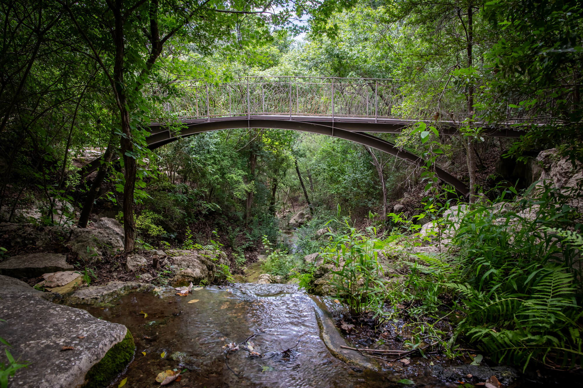 Scenic memorial garden at Remembrance Gardens in Austin, Texas