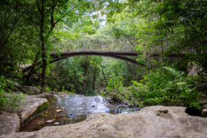 Peaceful view of Remembrance Gardens in Austin, Texas
