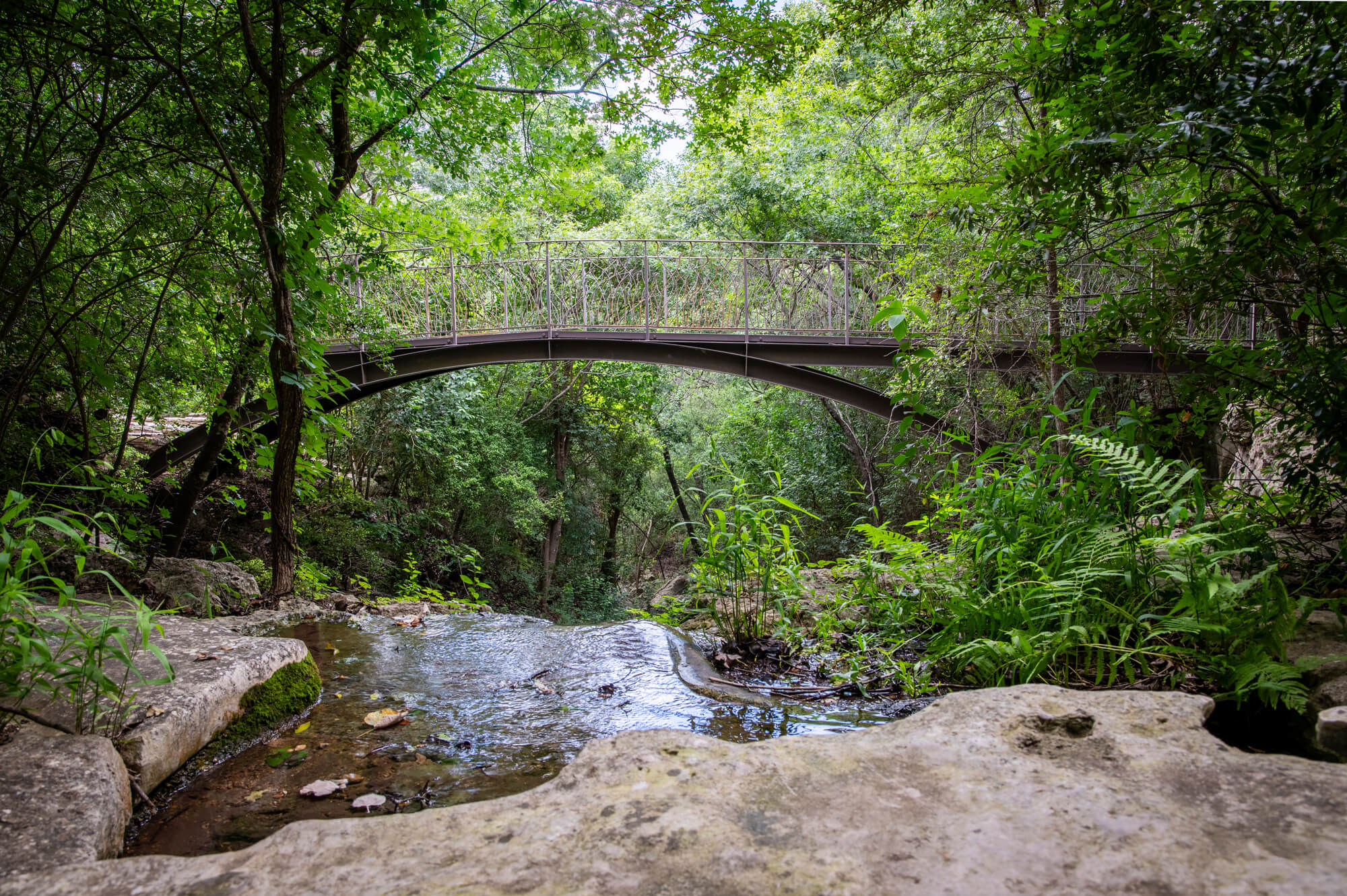 Peaceful view of Remembrance Gardens in Austin, Texas